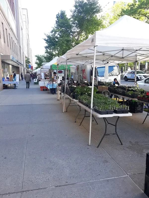 Columbia University Greenmarket photo 2