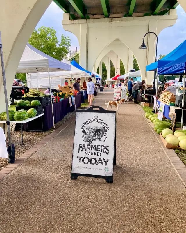 Conway Farmers' Market photo 2