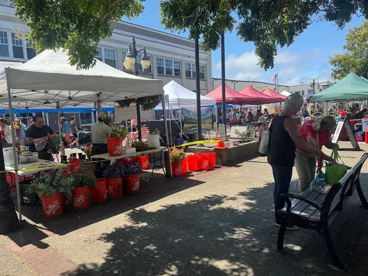 Coos Bay Downtown Farmer's Market
