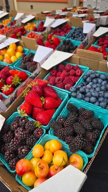 Coos Bay Downtown Farmer's Market photo 2