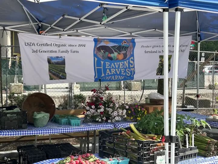 Copley Square Farmers Market