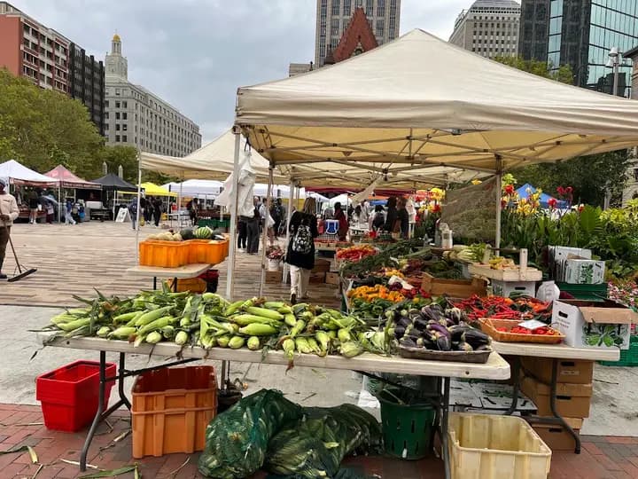Copley Square Farmers Market photo 2