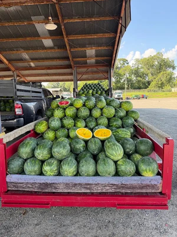 Cordele State Farmers Market photo 2
