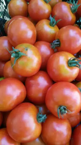 CORNWALL FARMERS’ MARKET