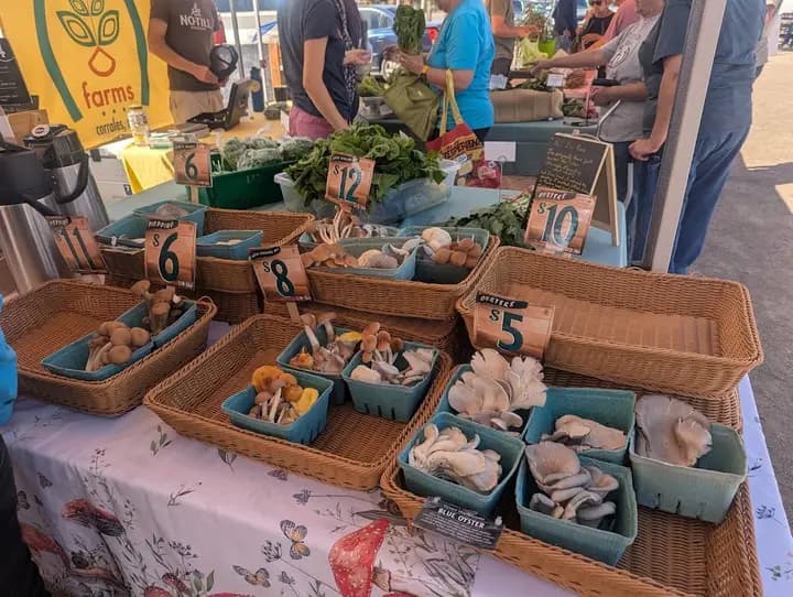 Corrales Growers' Market photo 2