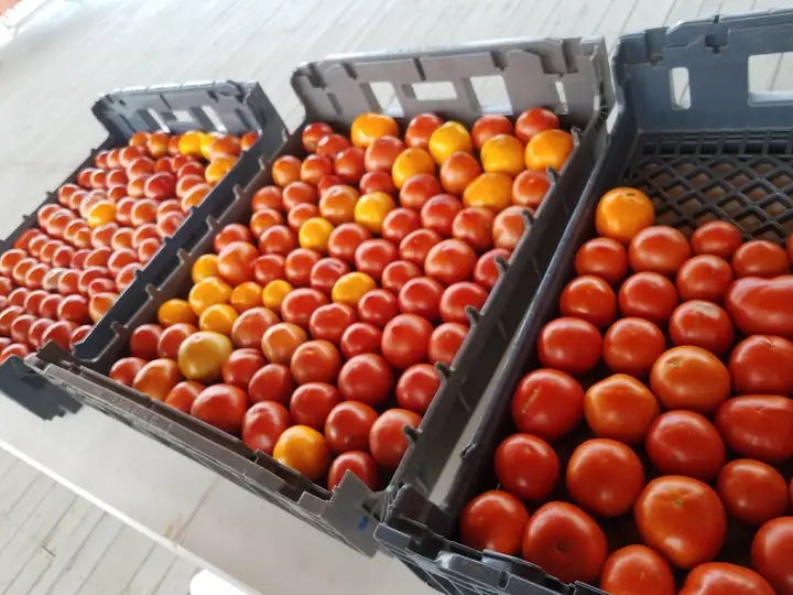 Covington Farmers Market photo 2
