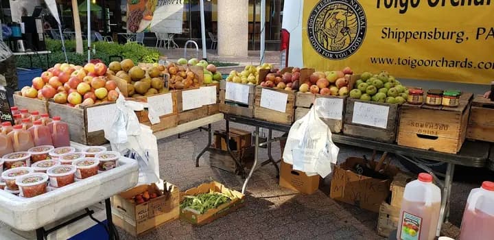 Crystal City FRESHFARM Market photo 2