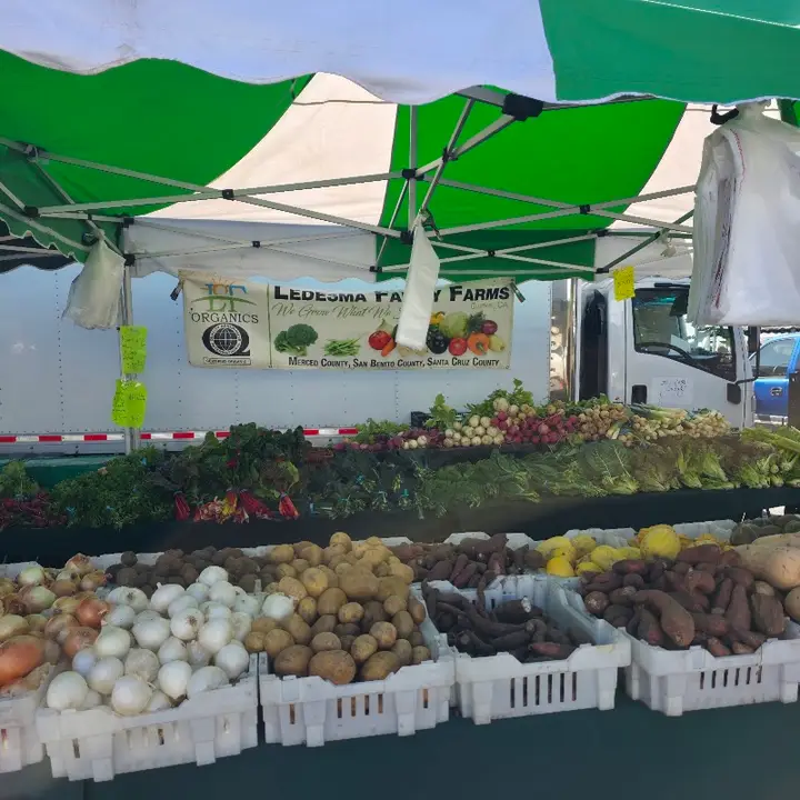 Daly City Certified Farmers' Market at Serramonte Center photo 2