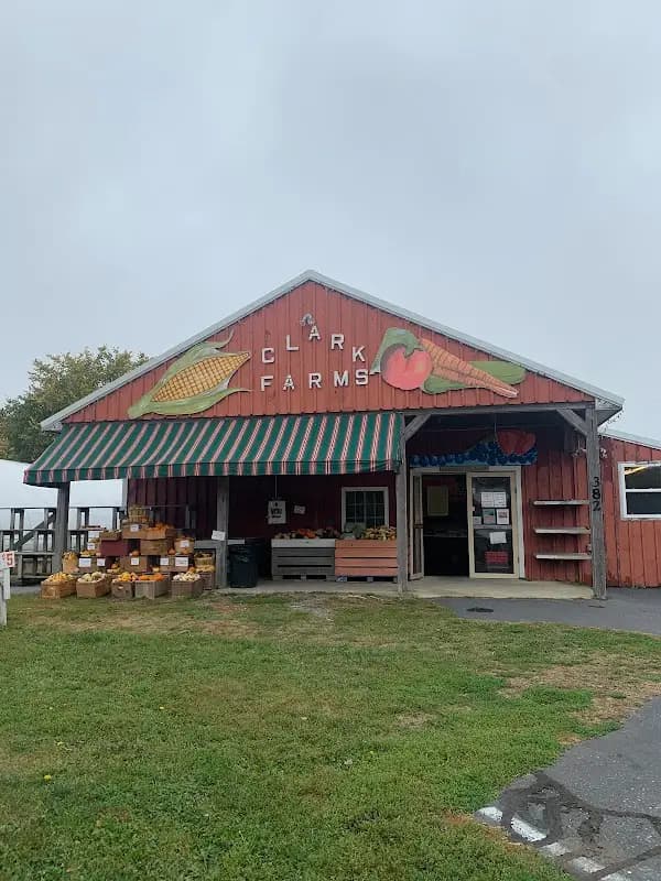 Damariscotta Farmers Market photo 2