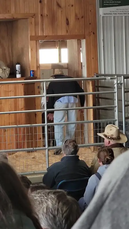 Danville Auction photo 2