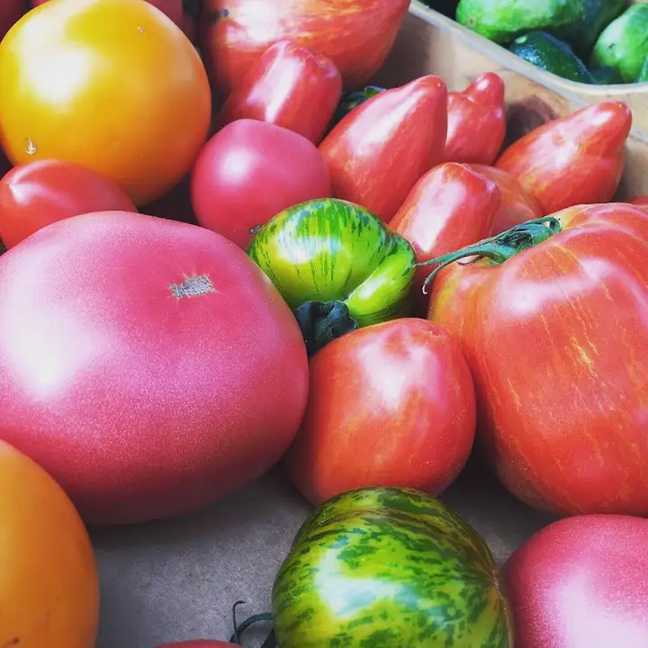 Danville Farmers Market photo 2