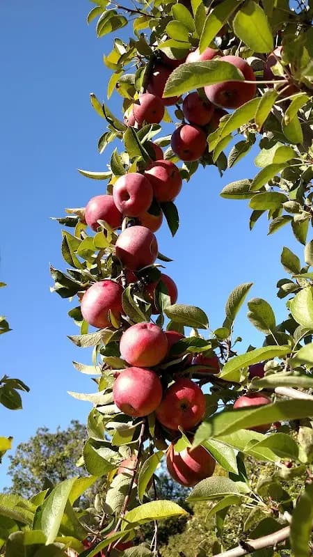 Dartmouth Farmers Market photo 2