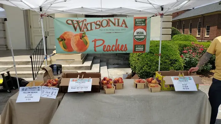 Decatur Farmers Market photo 2