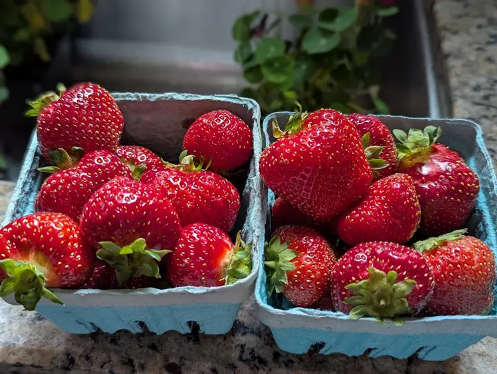 Delaware Avenue Farmers' Market