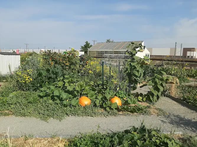 Denver Urban Homesteading Farmers Market