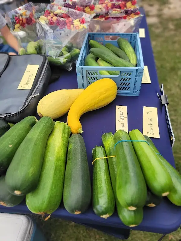 DeWitt Farmers Market