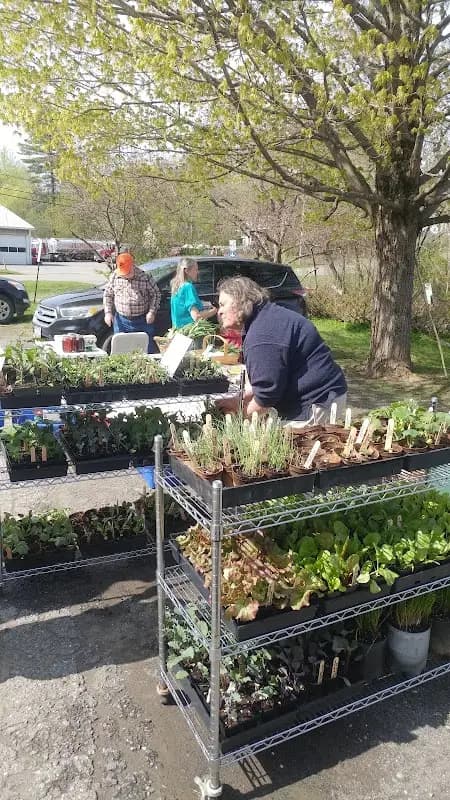 Dover Cove Farmers' Market photo 2