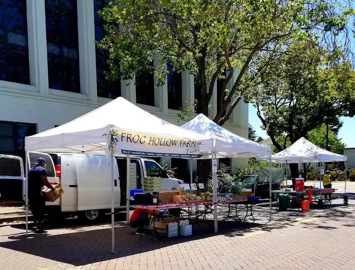 Downtown Berkeley Farmers' Market photo 2