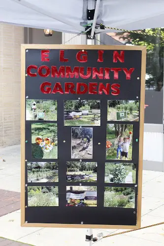 Downtown Elgin Harvest Market