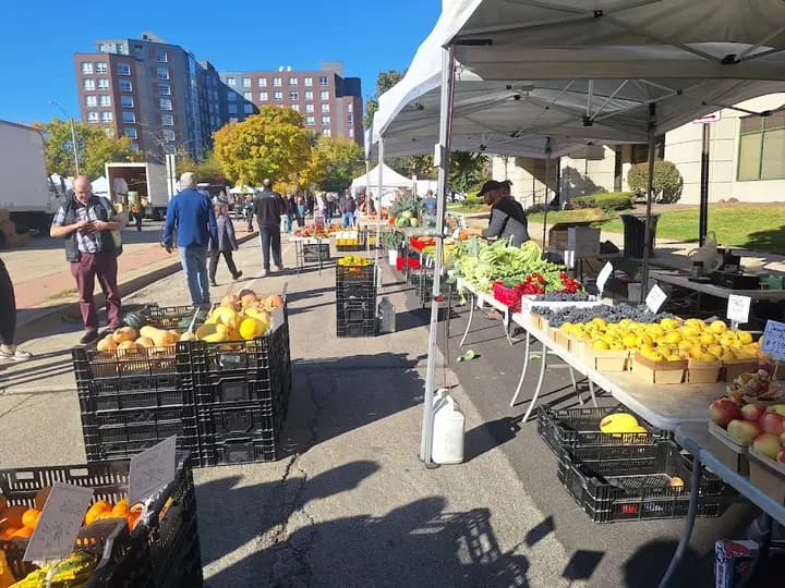 Downtown Evanston Farmers' Market photo 2
