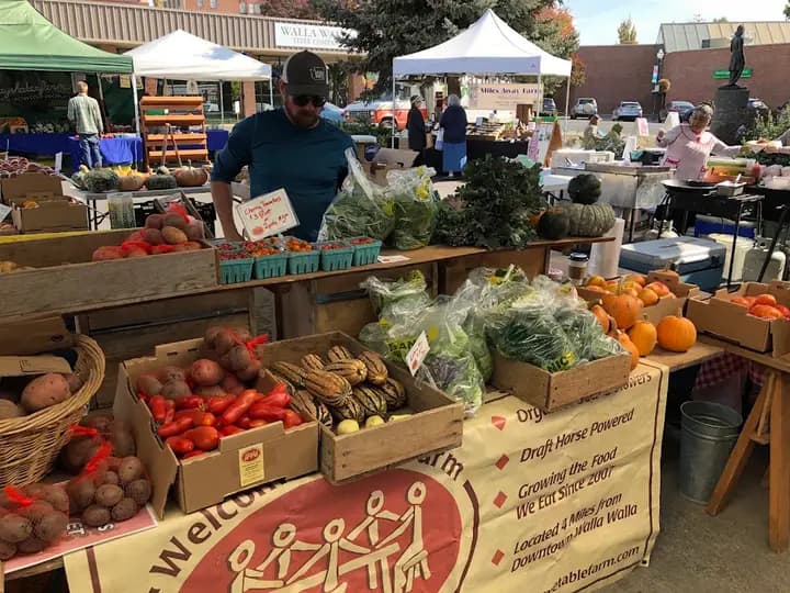 Downtown Farmers Market photo 2