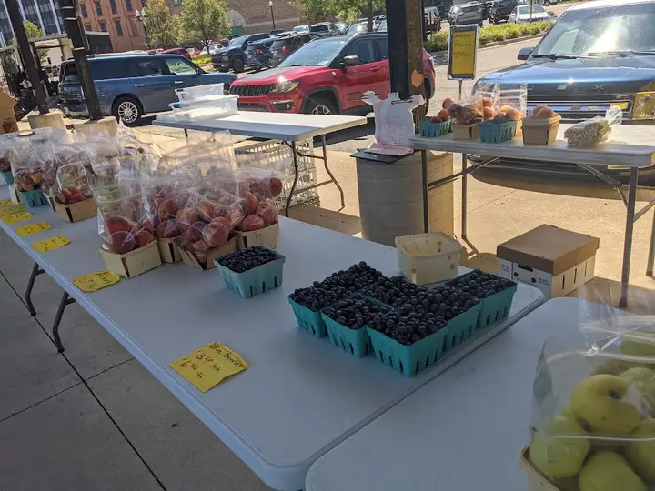 Downtown Jackson Grand River Farmers Market