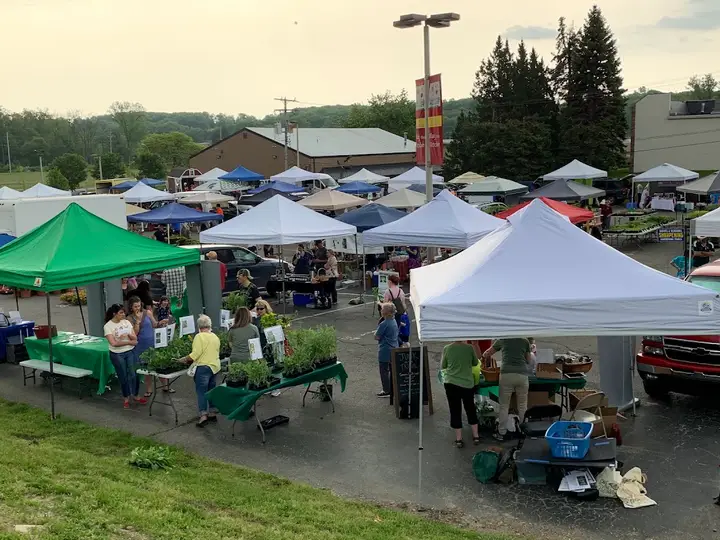 Downtown Rochester Farmers' Market photo 2