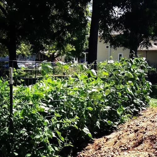Drake Neighborhood Farmers Market