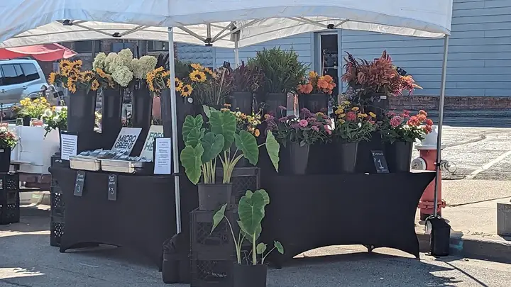 Dubuque Farmers Market