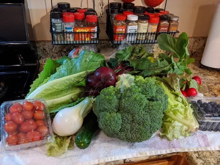 Dunn Farmers Market photo 2