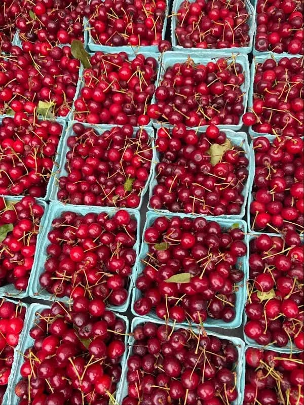 Dupont Circle FRESHFARM Market photo 2