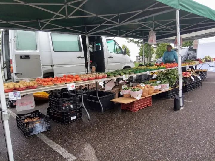 Eagan Market Fest photo 2