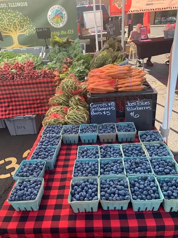 Edgebrook Farmers Market photo 2