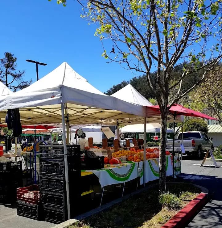 El Cerrito Farmers Market photo 2