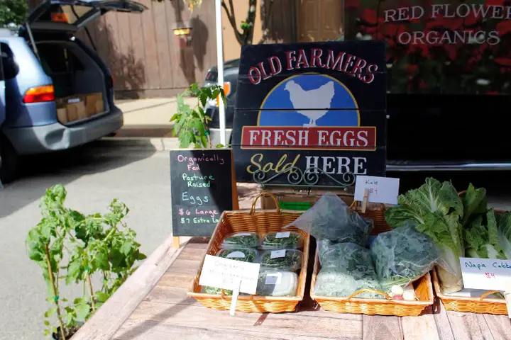 Elgin Farmers Market