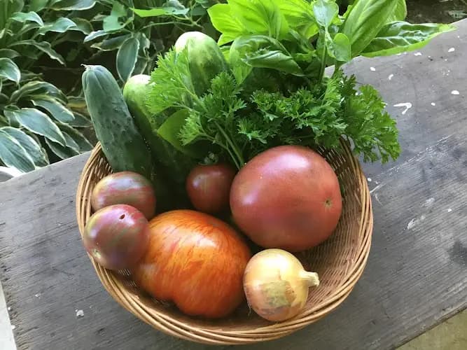Elizabeth Farmers Market