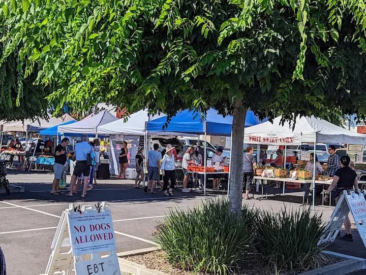 Elk Grove Certified Farmers' Market photo 2