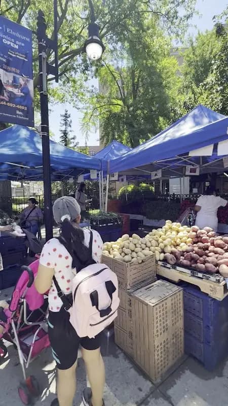Elmhurst Hopsital Greenmarket photo 2