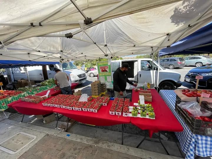Evergreen Farmers' Market photo 2