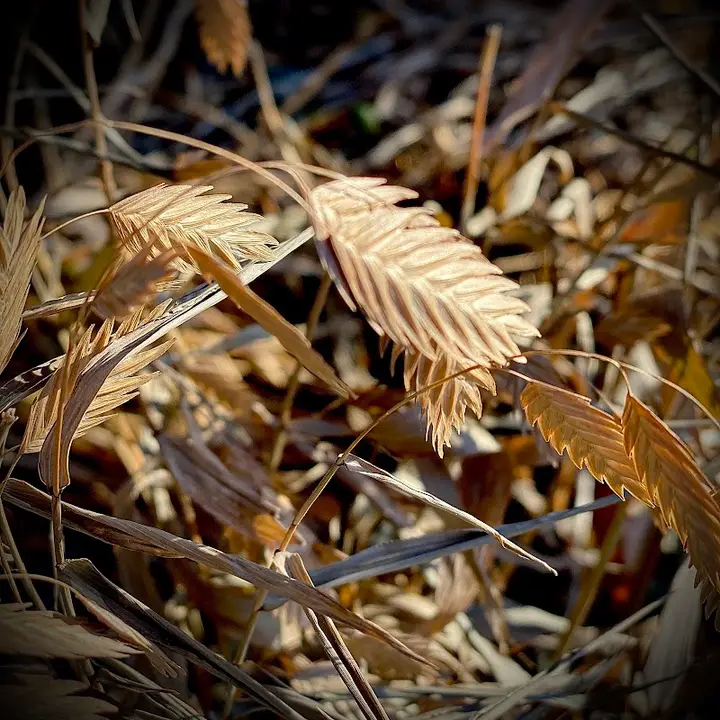 Faith in Place Winter Farmers Market - DuPage Unitarian Universalist Church