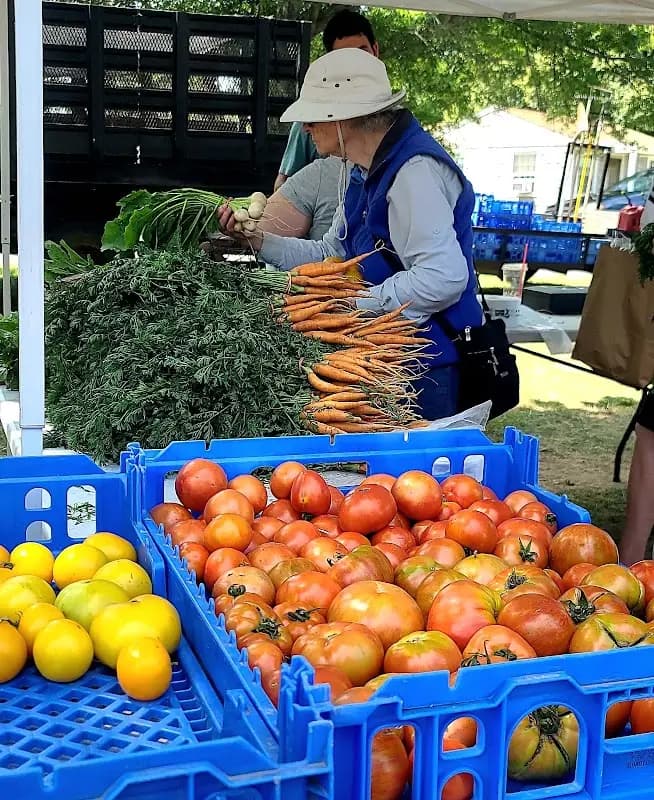 Falmouth Farmers' Market