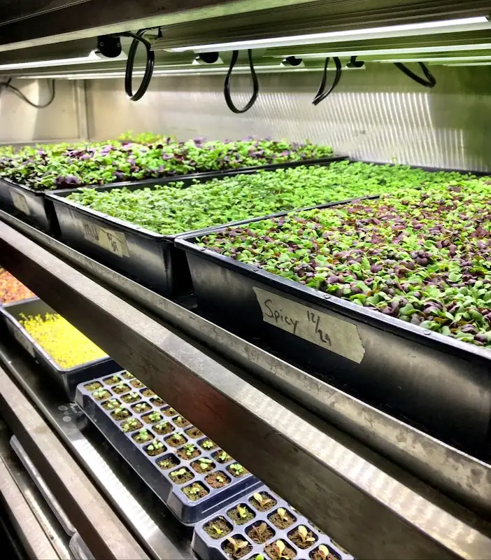 Farmers Fresh Market photo 2