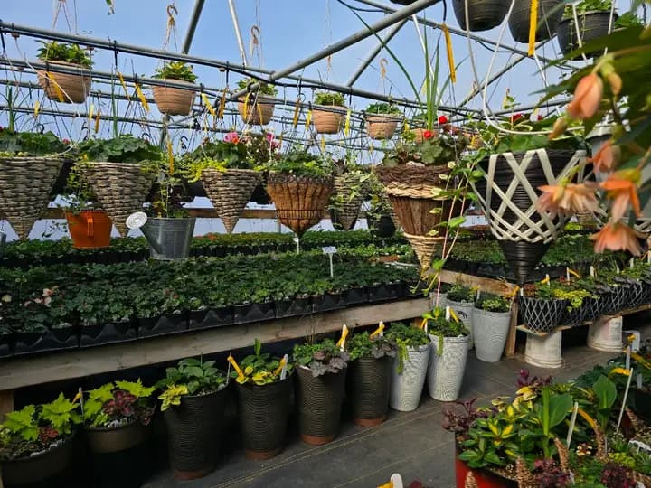 Farmers Garden Market photo 2