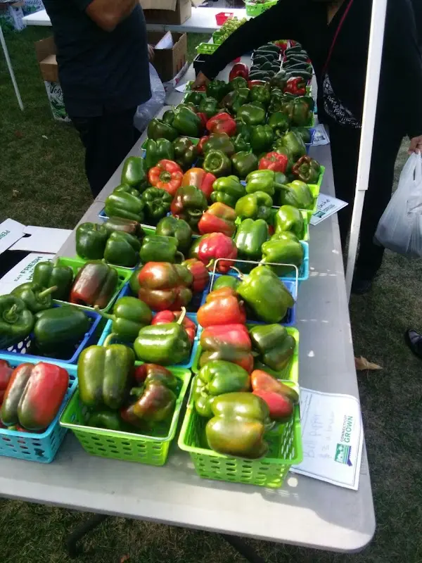 Farmers Market at Billings Forge photo 2