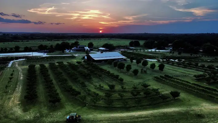 Farmers Market - Clyde, Texas