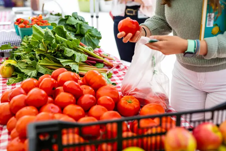 farmers' market @ Kendall Square