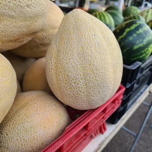 Farmers Market of Pueblo
