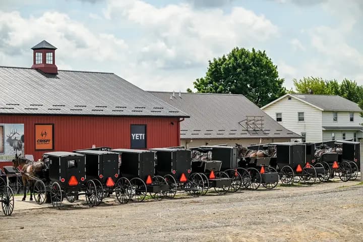Farms Produce Auction photo 2