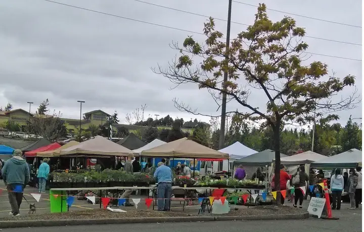 Federal Way Farmers Market - Common Mall parking lot