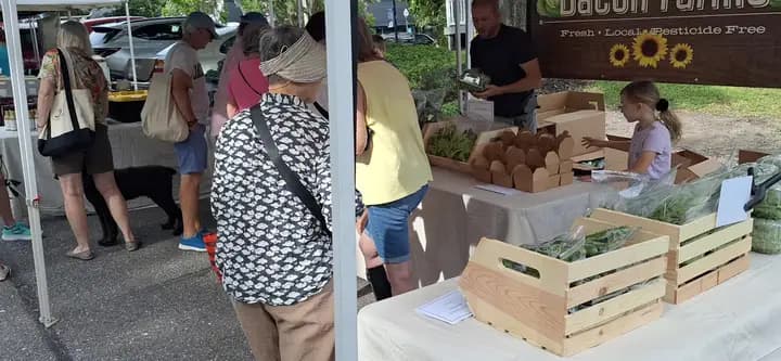 Fernandina Beach Market Place photo 2